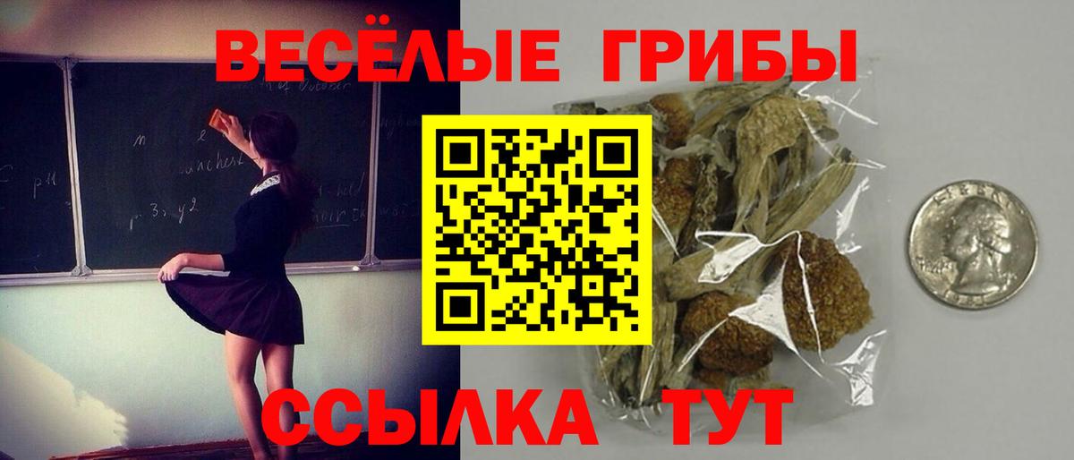 Галлюциногенные грибы мухоморы Нижневартовск